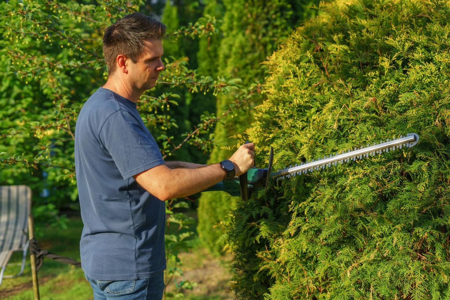 Hedge Trimming