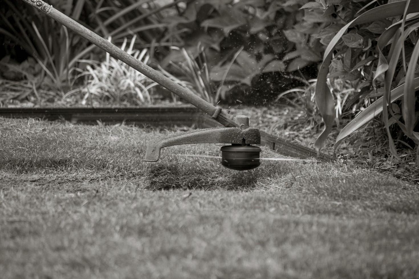 Irrigation