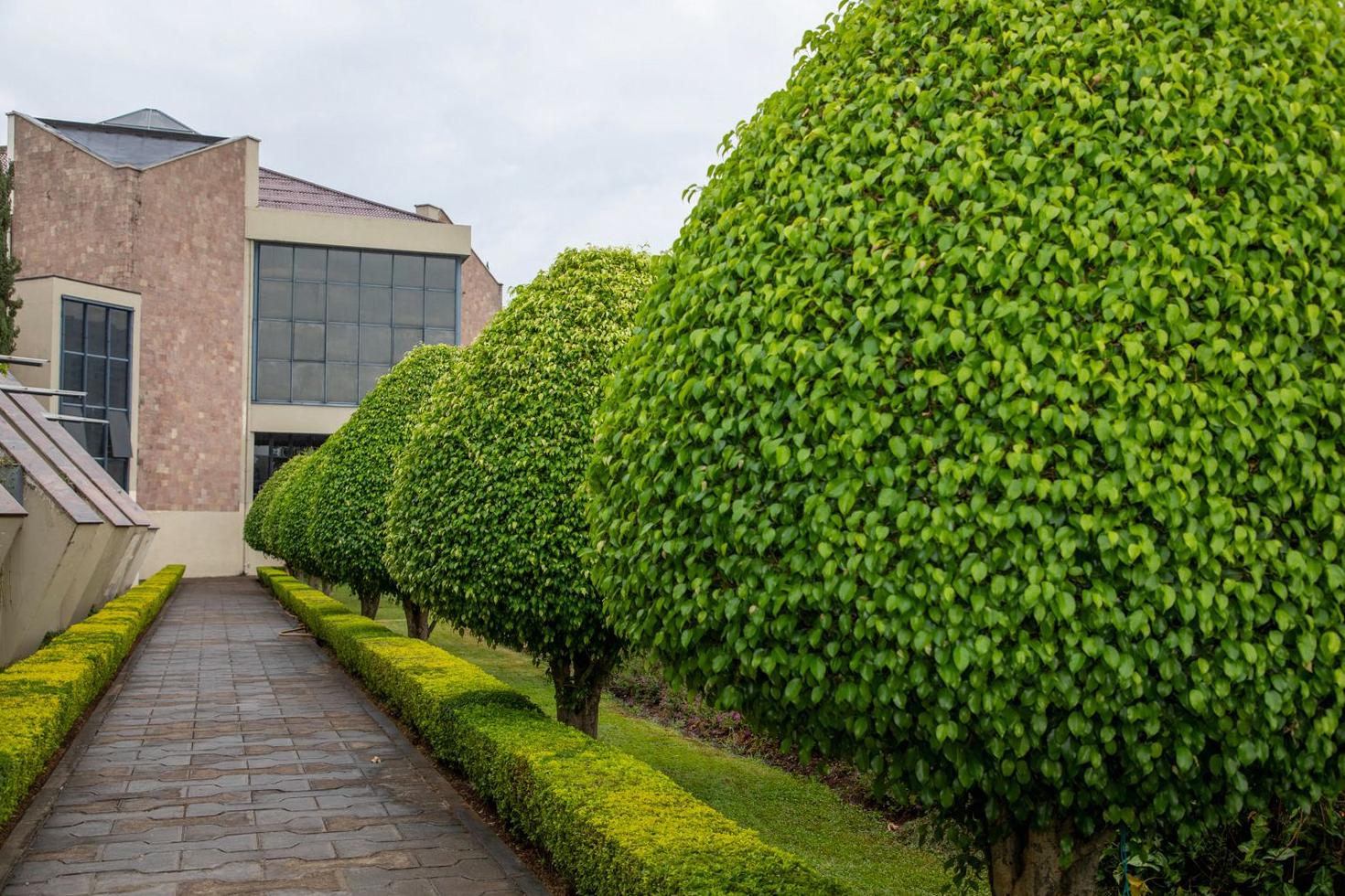Modern landscaping Sydney