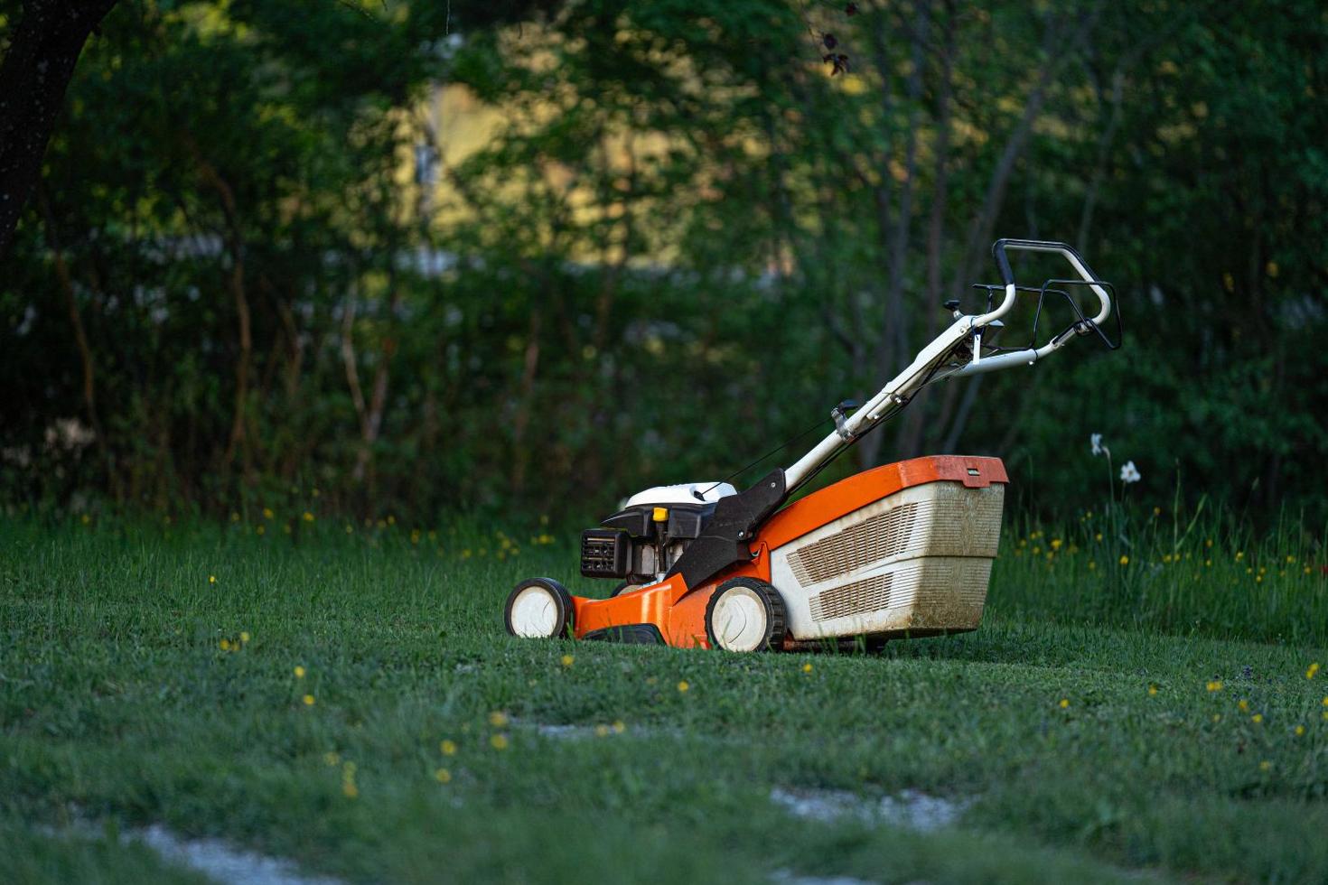 Lawn care project
