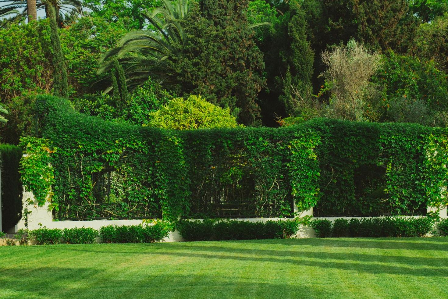Lush residential garden Sydney
