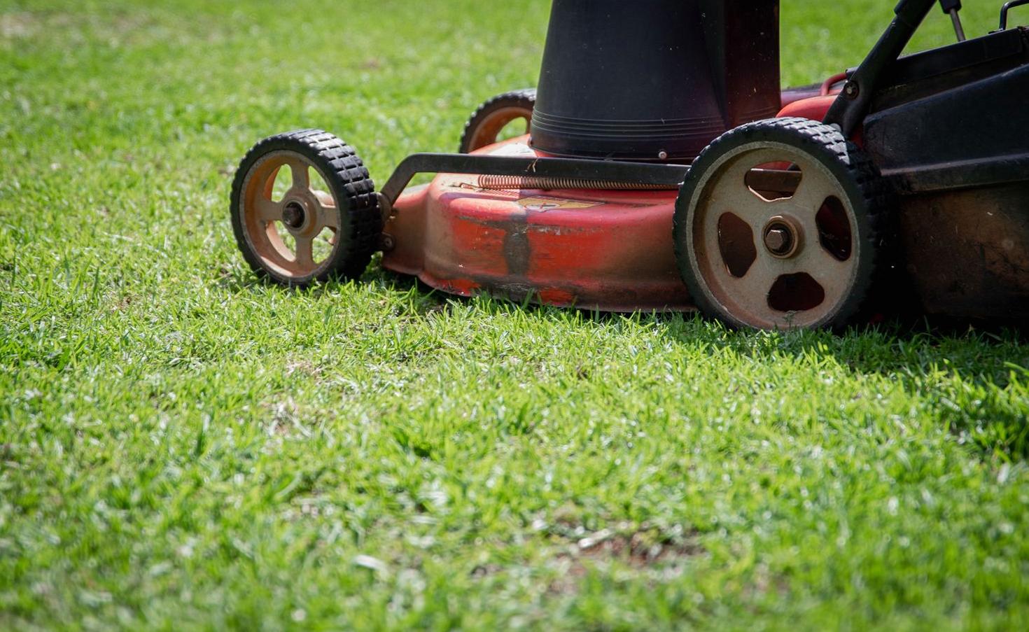 Garden Clean-ups