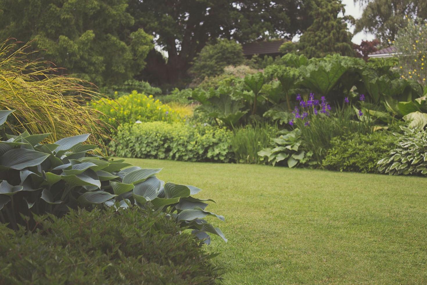 Lush green garden background